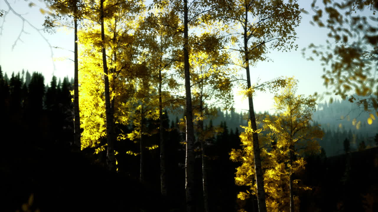 Golden autumn leaves shimmer in tranquil forest at dusk