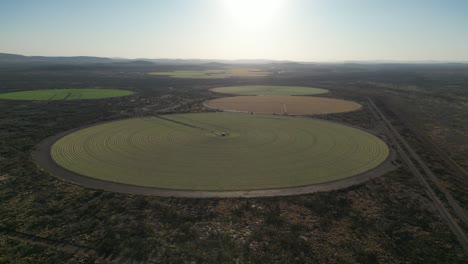 Vista-De-Pájaro-Del-Riego-Circular-En-Círculos-De-Cultivo-En-Australia-Occidental