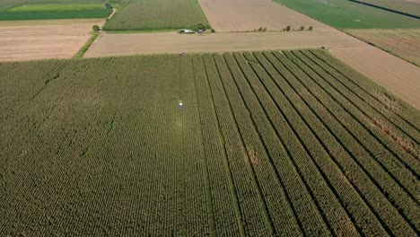 una vista aérea expansiva de las vastas tierras de cultivo