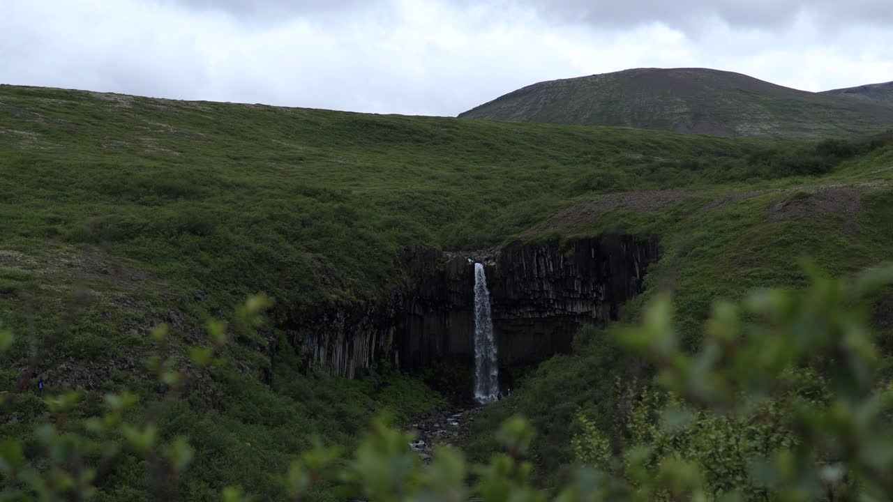 hermosa cascada svartifoss en el bosque del parque nacional skaftafell en islandia, 4k