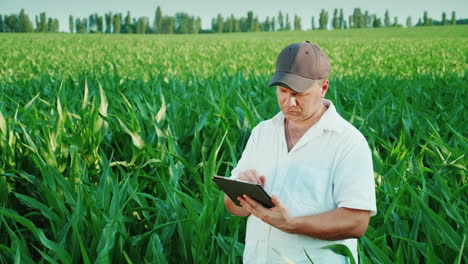 serious middle-aged farmer working on a field of corn