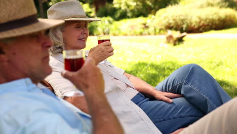 Pareja-De-Jubilados-Sentados-En-Tumbonas-Bebiendo-Vino