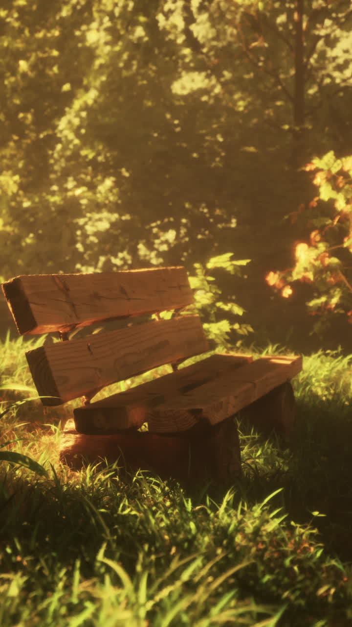 숲 속 의 나무 벤치