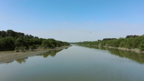 mai po nature reserve and wetlands, hong kong, aerial view