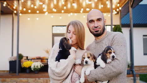 una feliz pareja caucásica de pie contra el fondo de su casa, sosteniendo muchos cachorros de beagle en sus manos