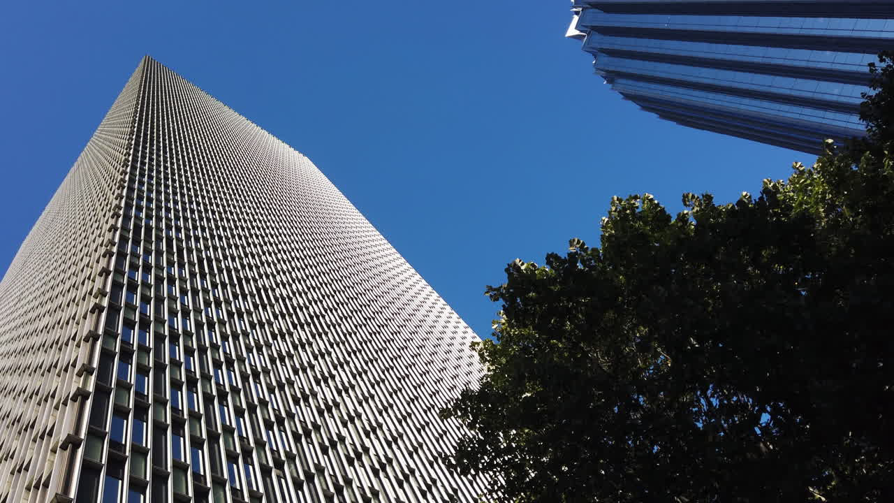 Dos edificios modernos de cristal y un árbol verde en el centro