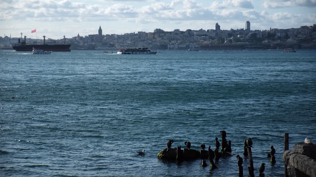 Great cormorants are resting on a ruins of an old pier at Istanbul in two time slow motion