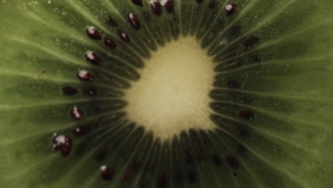 Micro-video-of-close-up-of-kiwi-fruit-slice-with-copy-space