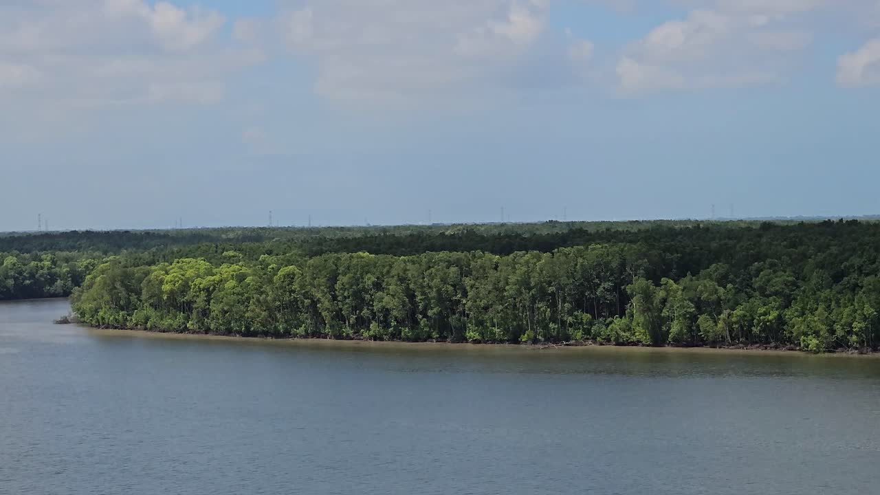 Aerial view panning of river and mangrove forest