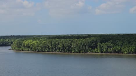 Luftaufnahme-Von-Fluss-Und-Mangrovenwald