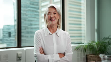 portrait of a confident mature businesswoman in an office