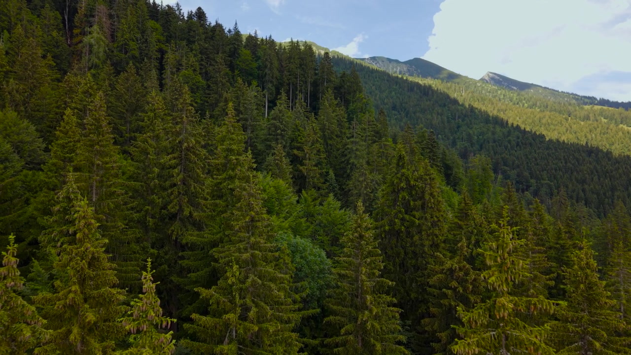 Floresta densa e colinas verdes no vale alpino de Heutal, perto da fronteira de Berchtesgaden, na região de Salzburgo. Vista aérea.