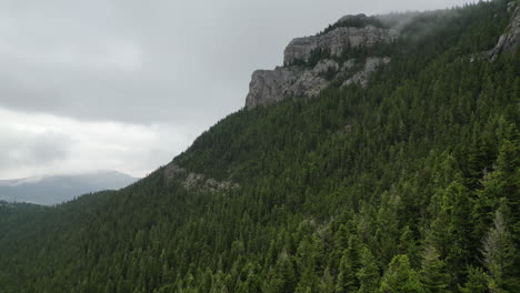 Luftaufnahme-Eines-Nebligen-Berges,-Der-An-Immergrünen-Bäumen-Vorbeifliegt-[4k