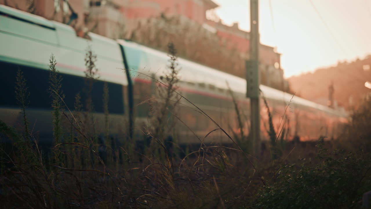 Train moving past overgrown grass at golden hour, creating a natural and urban contrast