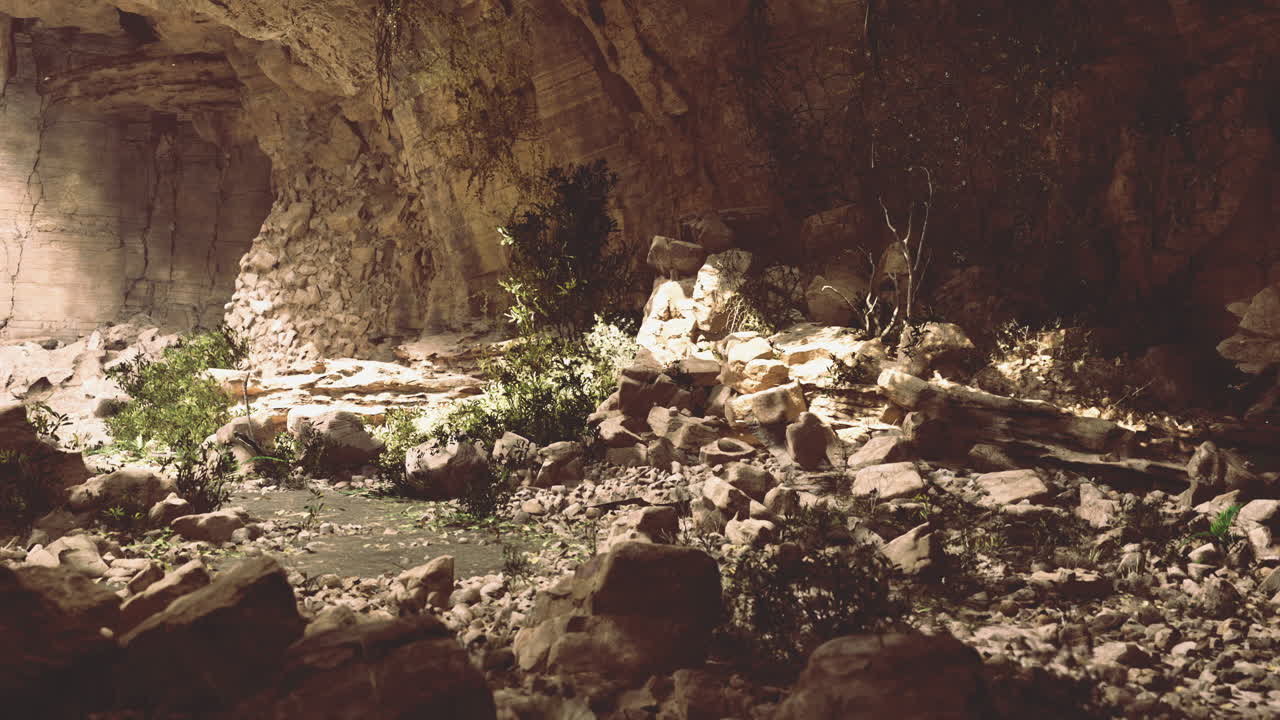 interior natural de la cueva con vegetación y terreno rocoso iluminado suavemente
