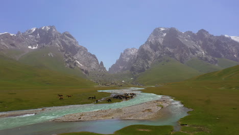 aerial view flying over a herd of wild horses in the breathtaking mountain wilderness of kyrgyzstan