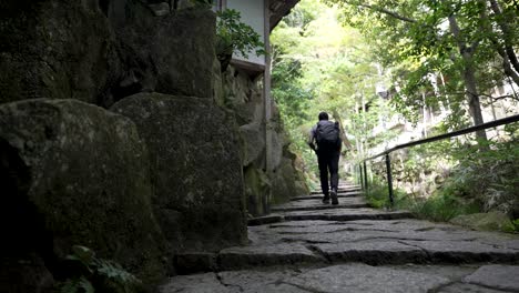 solo male tourist walking up zen garden steps