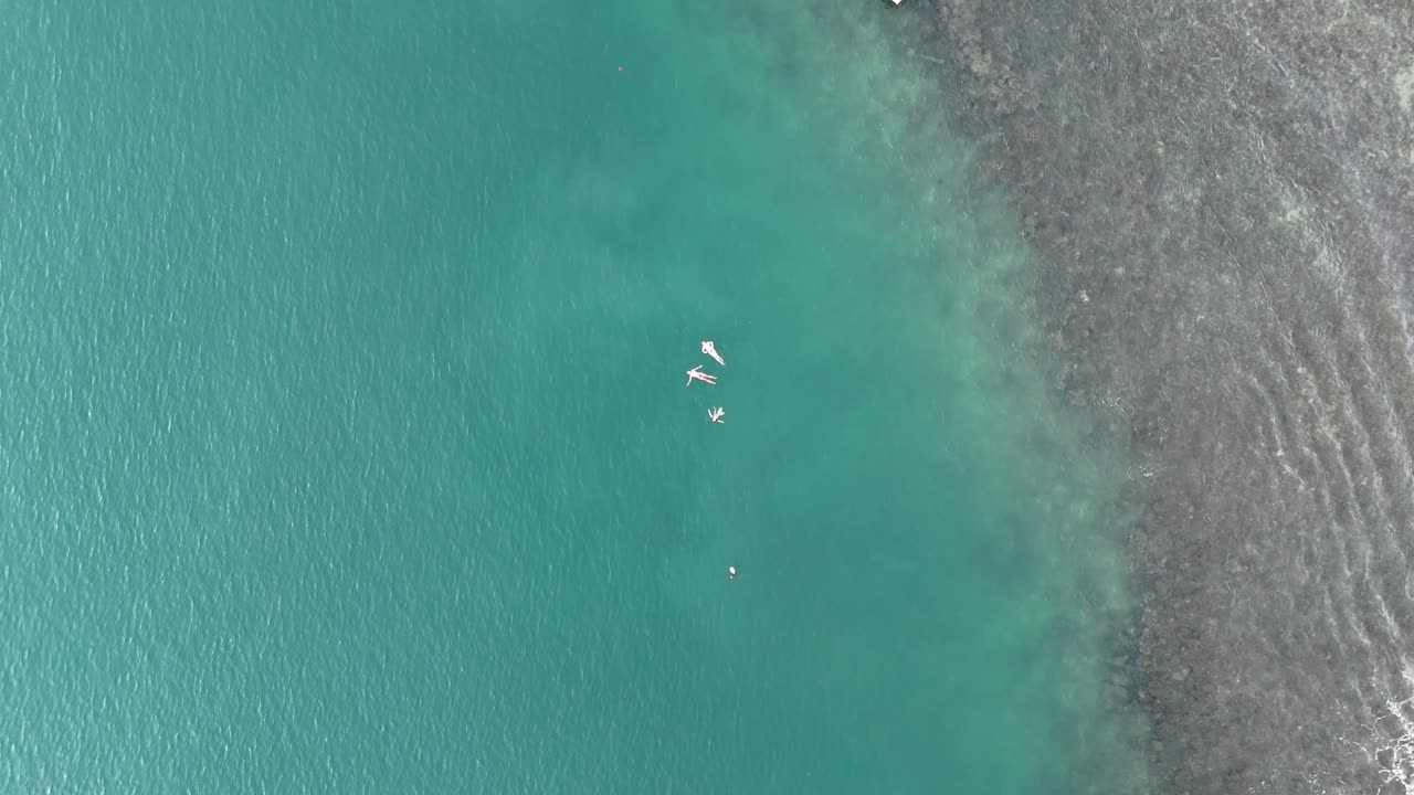 Birds eye view drone shot of people swimming in the ocean