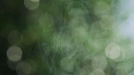 Smoke-swirling-in-afternoon-sun-tree-bokeh-background,-Slow-Motion-4K