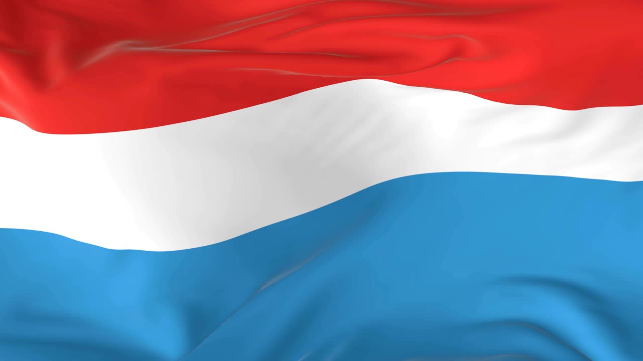 룩부르크의 배경으로 루프 발을 흔들고 있습니다.