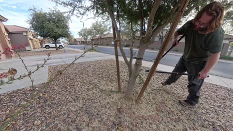 red haired man cutting off little branches from a tree in arizona.
