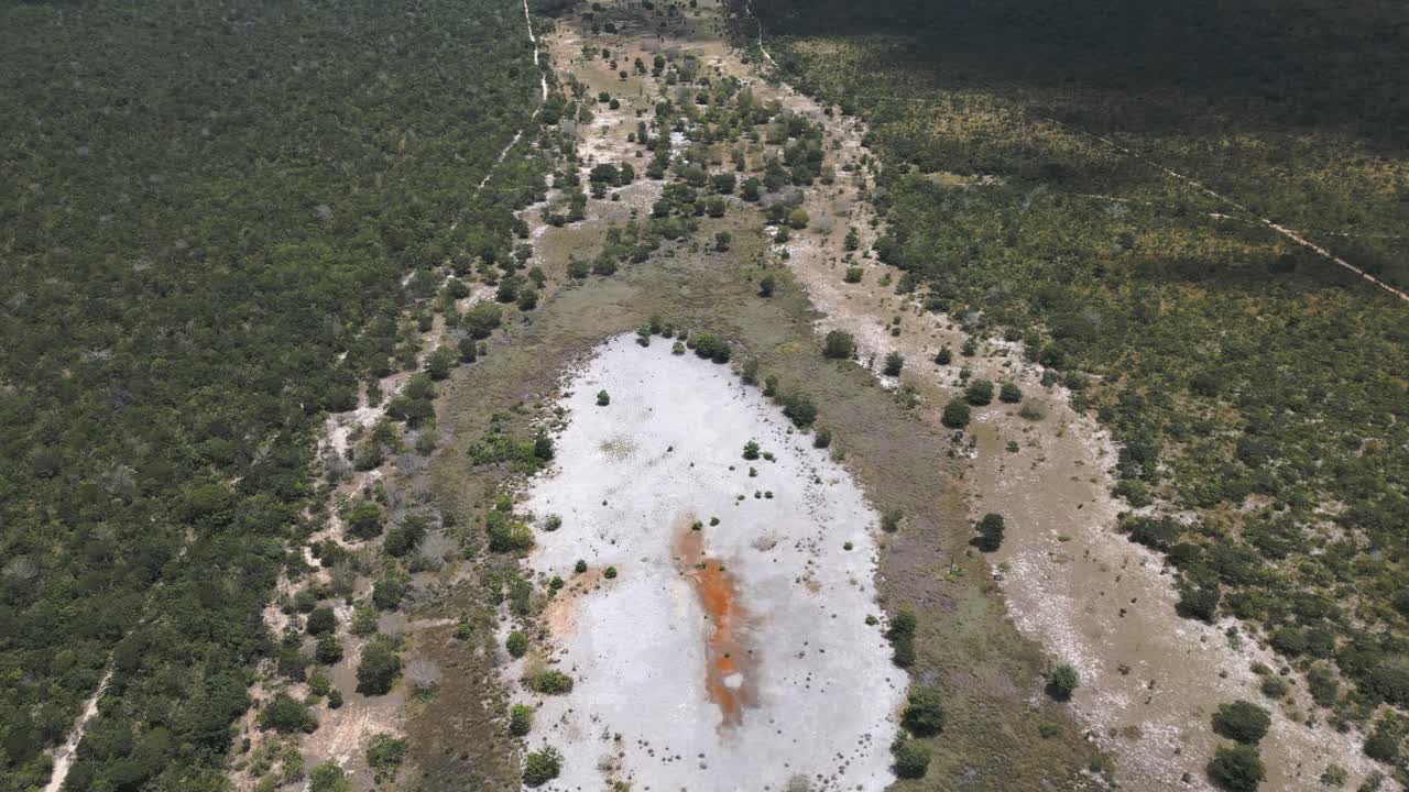 Prospettiva aerea dall'alto di una laguna secca con croste di minerali nel Cerrado brasiliano, che mostra depositi di ossido di ferro e vegetazione resiliente della savana, Chapada dos Vadeiros, Goias, Brasile