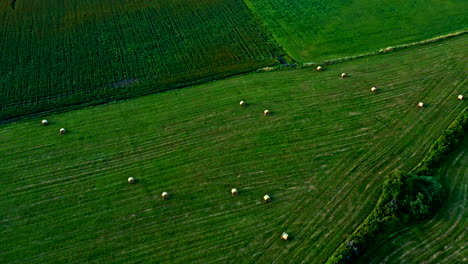 high-level aerial view of green fields, trees, and bales of straw - dolly shot