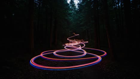 mesmerizing light trails create a captivating path through the dark forest, illuminating the night with vibrant colors and engaging swirls