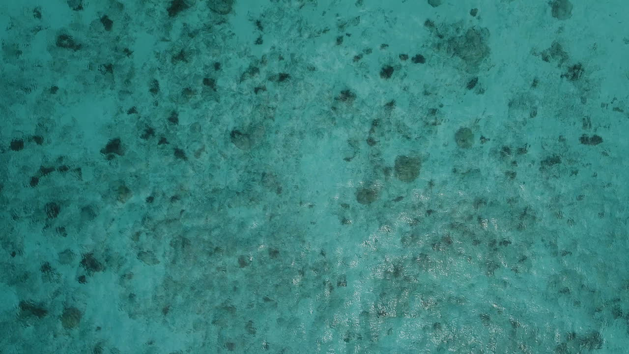 큐라소 케네파 해변의 푸른 바다