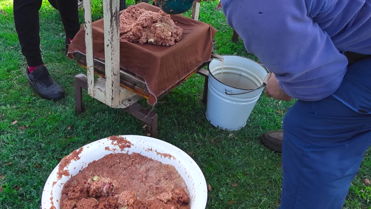 Two men produce fresh fruit juice in a garden using a traditional manual press, layering crushed pulp in cloth and extracting liquid into a bucket during early autumn