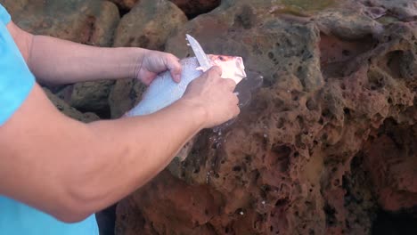 ritual de las rocas marinas: las manos masculinas trabajan para eliminar los huesos de los peces junto al océano