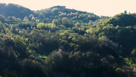 mañana en las montañas ródope, bulgaria