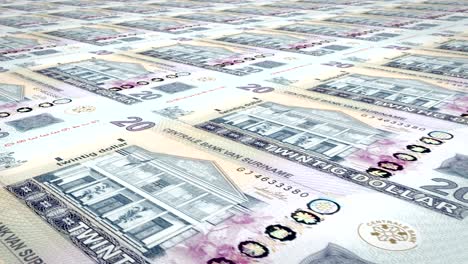 billetes de veinte dólares surinameses de surinam, dinero en efectivo, bucle