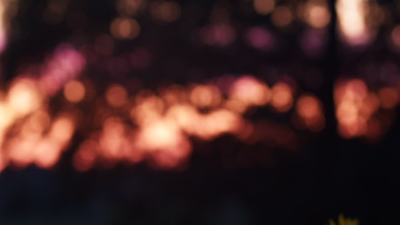 Lens bokeh backlit trees on sunset light