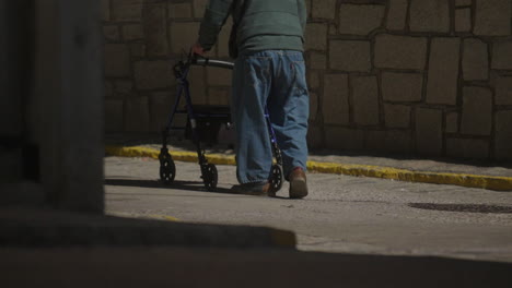 elderly person walking with a walker