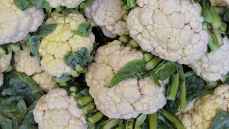 fresh organic cauliflower from farm close up from different angle