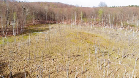 Santuario-De-La-Montaña-De-ámbar-En-Lublewo-Gdańskie,-Polonia