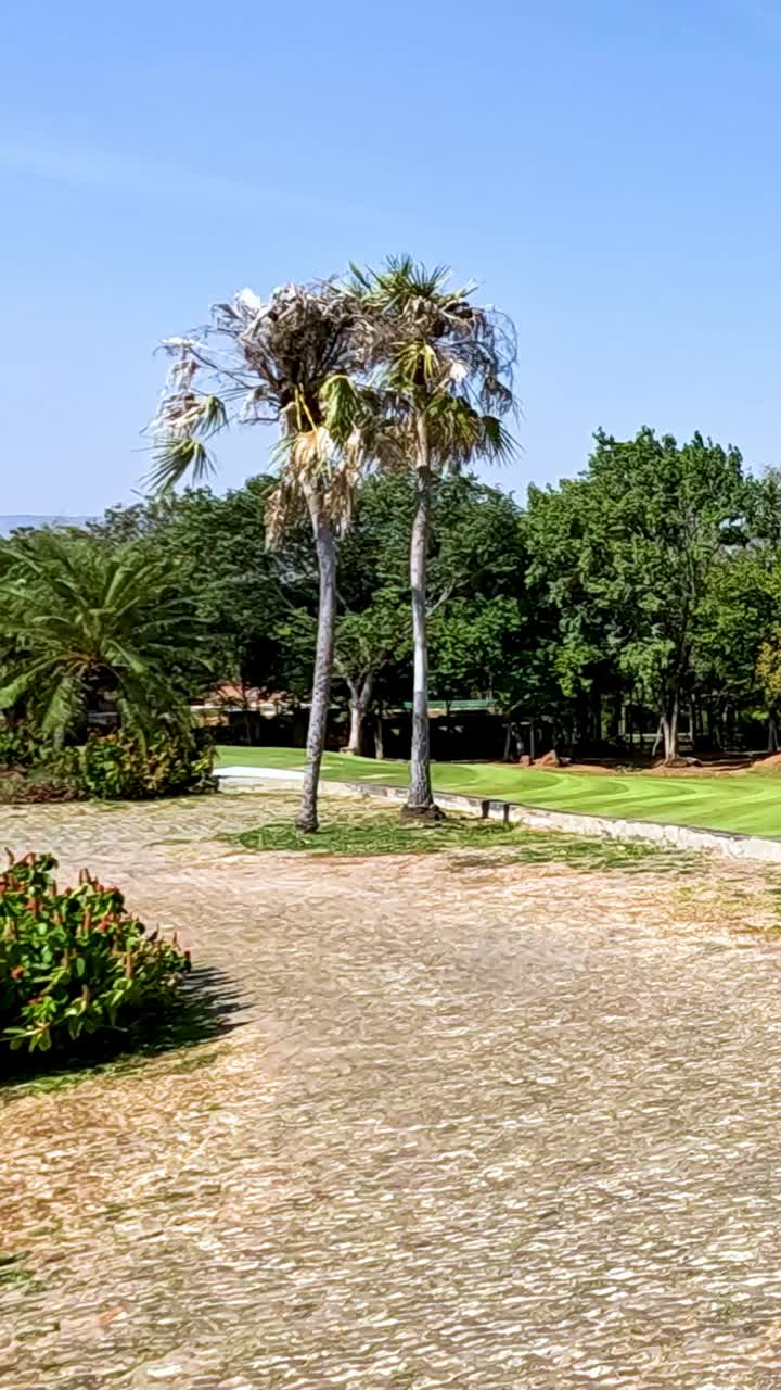 campo de golf con palmeras y cielos despejados