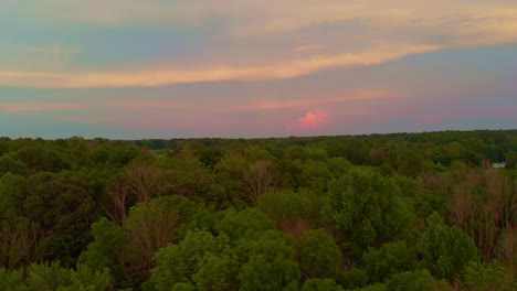drone flight over tree's with sunset