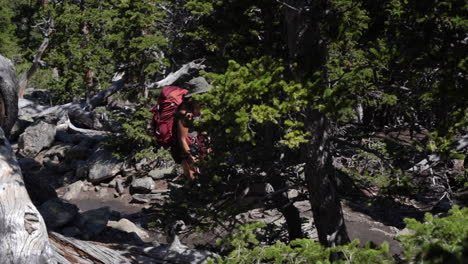 Young-Woman-With-Backpack-Walking-in-Woods-on-Mountain-Hiking-Trail-on-Sunny-Summer-Day,-Full-Frame-Slow-Motion