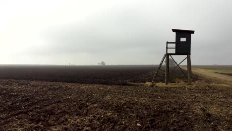 Slow-drone-ride-over-cleared-mystic-corn-field-with-high-stand-in-austria