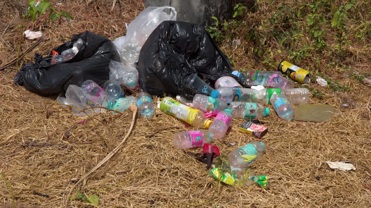 Ampia inquadratura statica di bottiglie di plastica scartate e sacchi neri della spazzatura sull'erba secca