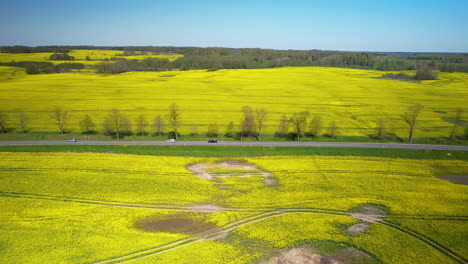 4k drone view of cars driving on a highway in rapeseed fields
