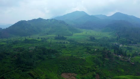 panoramic view over tea plantations near ciwidey, bandung, indonesia - drone shot