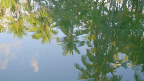mauna lani fish ponds reflections, hawaii mauna lani