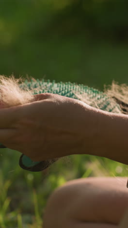 mano de primer plano quitando el pelo de perro recogido del guante de aseo con luz solar cálida resaltando las hebras de pelo, mostrando detalles de eliminación de pelo, la vegetación borrosa en el fondo proporciona un ambiente natural