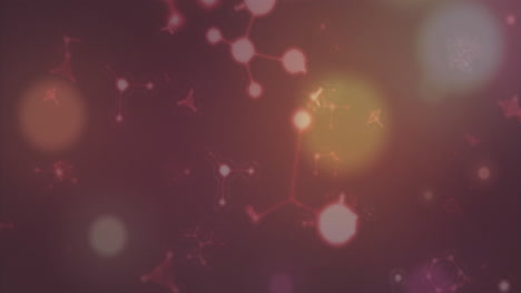 animation of glowing light spots moving on seamless loop on dark background