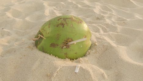 coco vacío solitario con una pajita de plástico transparente que sobresale en la playa