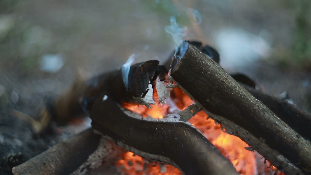 Firewood In Flame Close-Up. Burning bonfire wood and ember close up