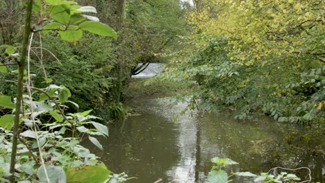 Der-Leigh-Bach-Fließt-Durch-Den-Geopark-Knapp-Und-Papierfabrik-Abberley-Und-Malvern-Hills